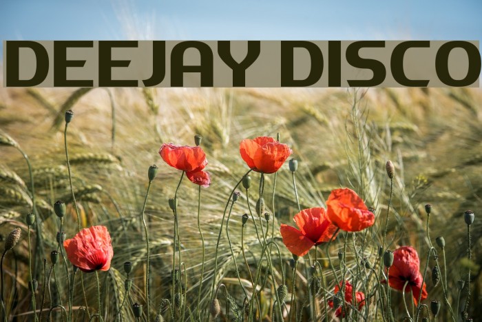 Deejay Disco Font examples