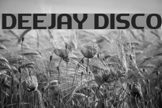 Deejay Disco Example 1