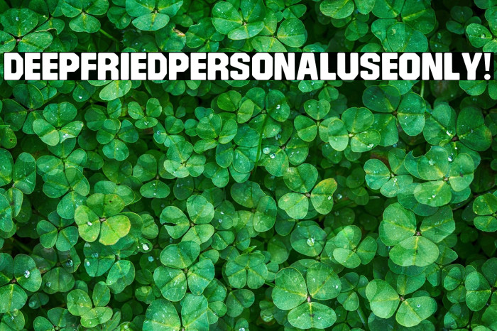 Deepfried PERSONAL USE ONLY! Example 1