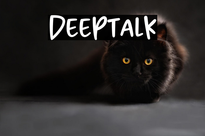 Deeptalk Example 3