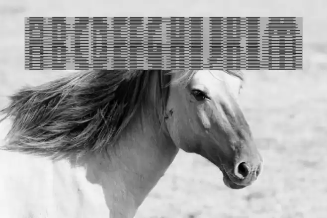 Deeter Font examples