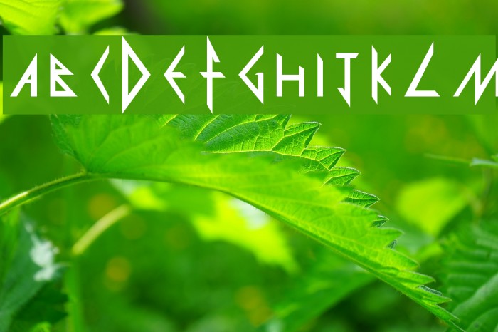 Def Leppard Font examples