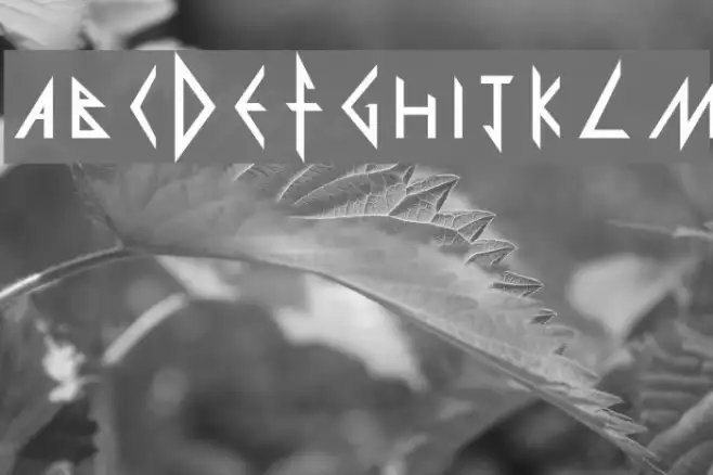 Def Leppard Example 1