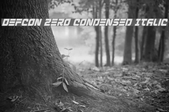 Defcon Zero Condensed Italic Example 2