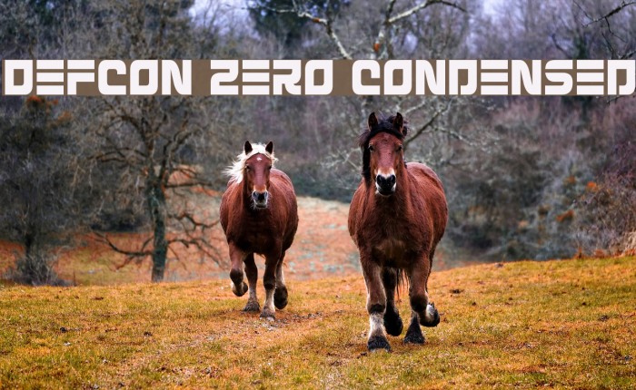 Defcon Zero Condensed Font examples
