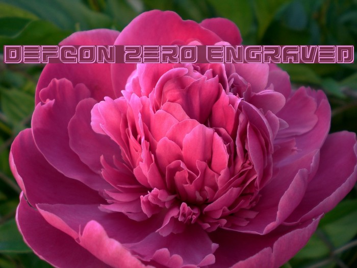 Defcon Zero Engraved Example 1