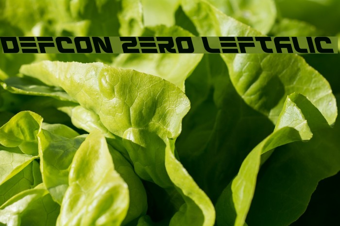 Defcon Zero Leftalic Font examples