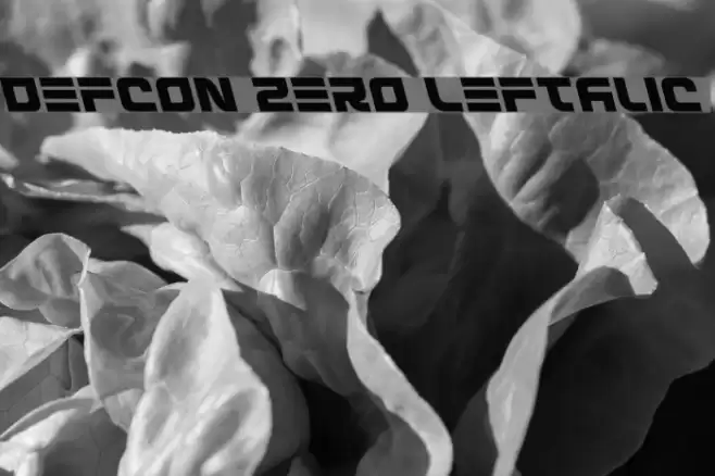 Defcon Zero Leftalic examples