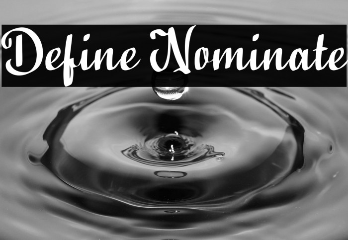 Define Nominate Example 2