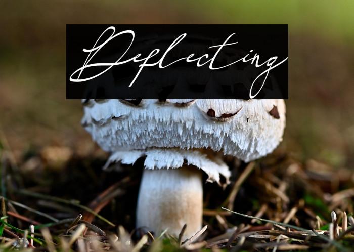 Deflecting Example 3