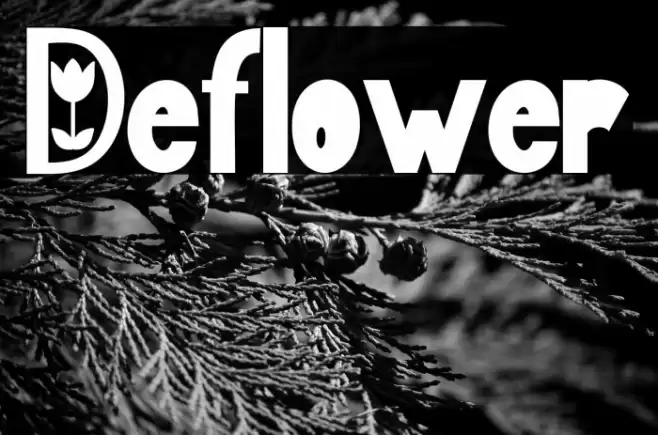 Deflower Шрифта examples
