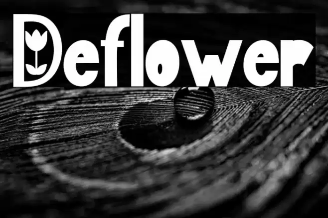 Deflower Шрифта examples