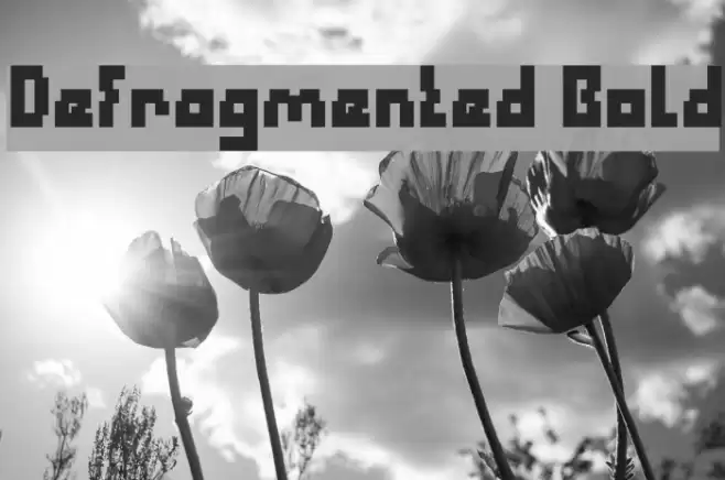Defragmented Bold Font examples