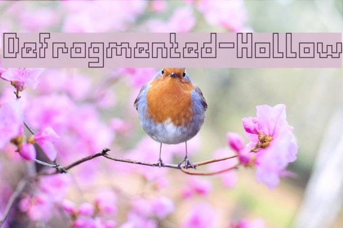 Defragmented-Hollow Example 2