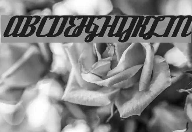 Deftone Stylus Font examples