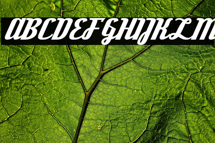 DeftoneStylus-Regular Example 1