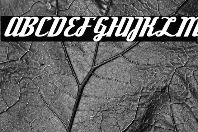 DeftoneStylus-Regular Font examples