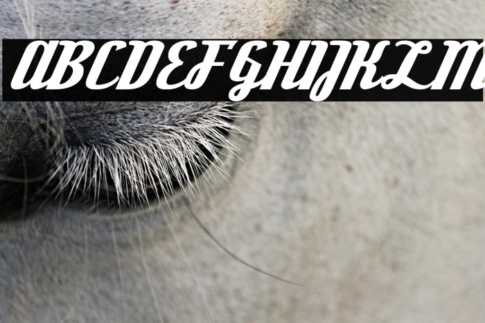 DeftoneStylus-Regular Example 3