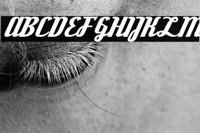 DeftoneStylus-Regular Font examples