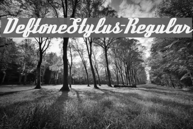 DeftoneStylus-Regular Font examples