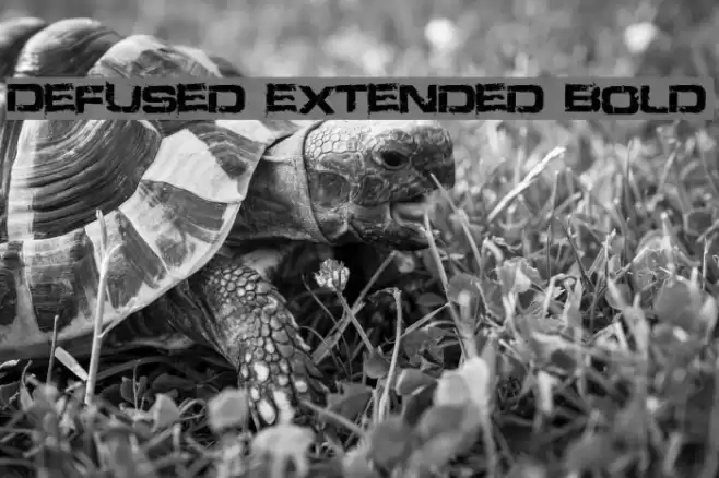 Defused Extended Bold Font examples