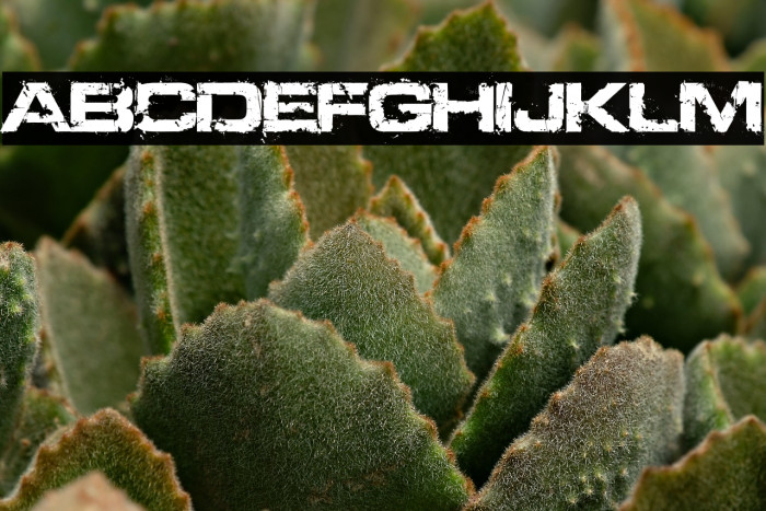 Defused(RUS BY LYAJKA) Example 1