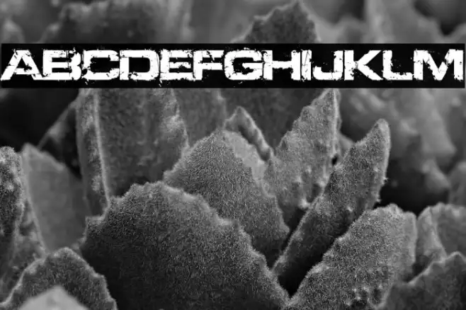 Defused(RUS BY LYAJKA) Example 1
