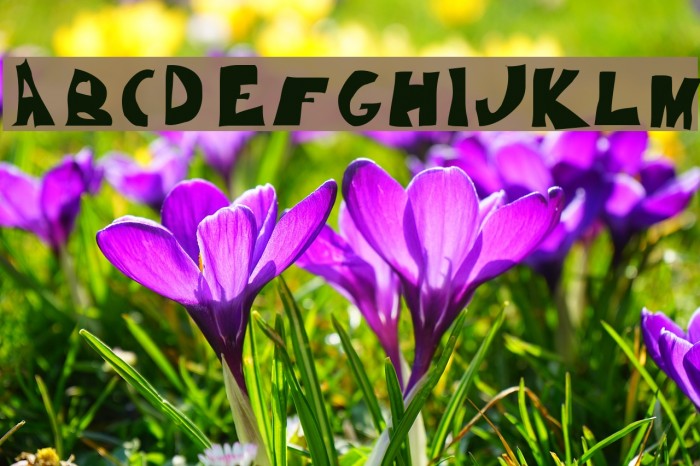 Degergamized Degergamized Font examples