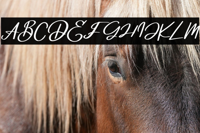 DeglasFREE Example 1