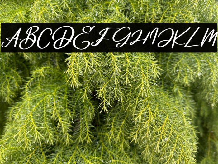 DeglasFREE Example 2