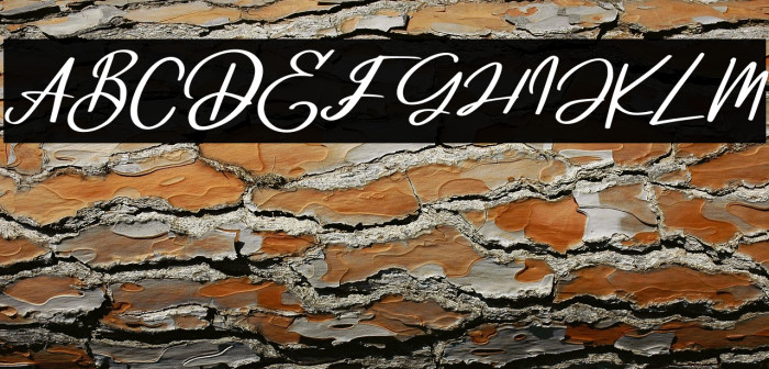 DeglasFREE Example 3