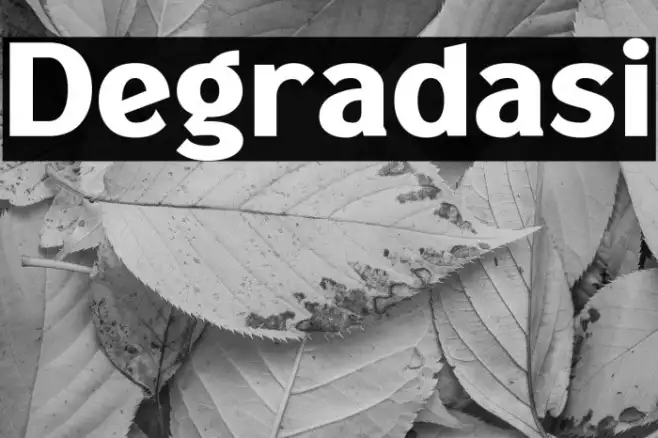 Degradasi Example 1