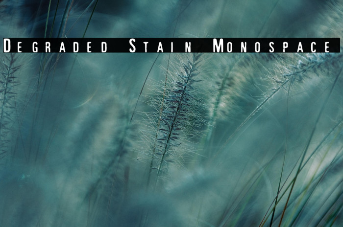 Degraded Stain Monospace Example 2
