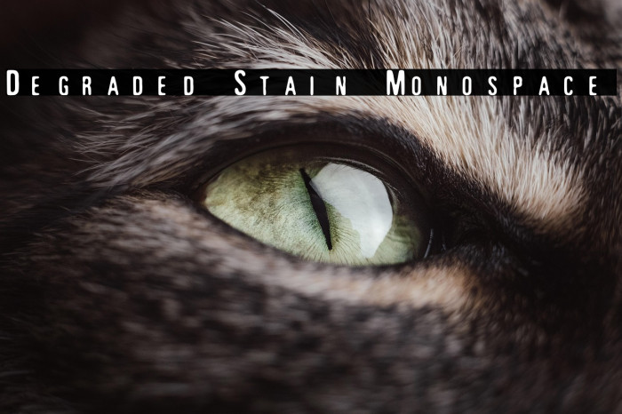 Degraded Stain Monospace Example 3