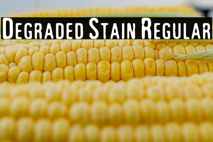 Degraded Stain Regular Example 1