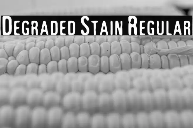 Degraded Stain Regular Font examples