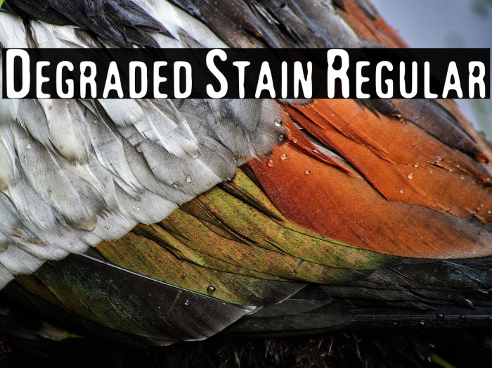 Degraded Stain Regular Example 2