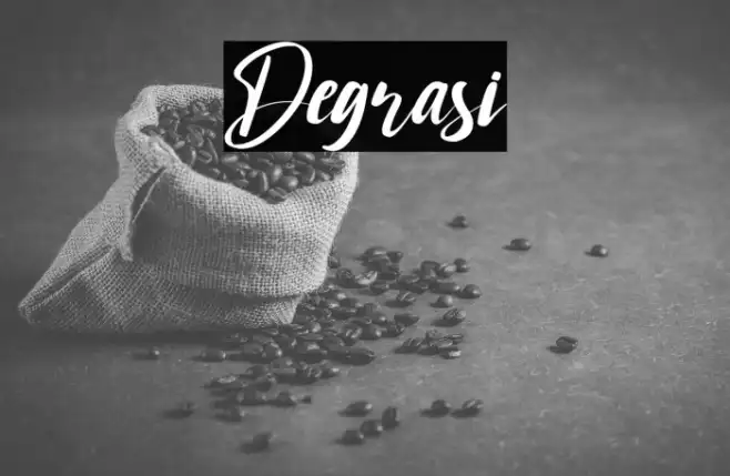 Degrasi Example 2