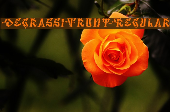 DegrassiFront-Regular Font examples