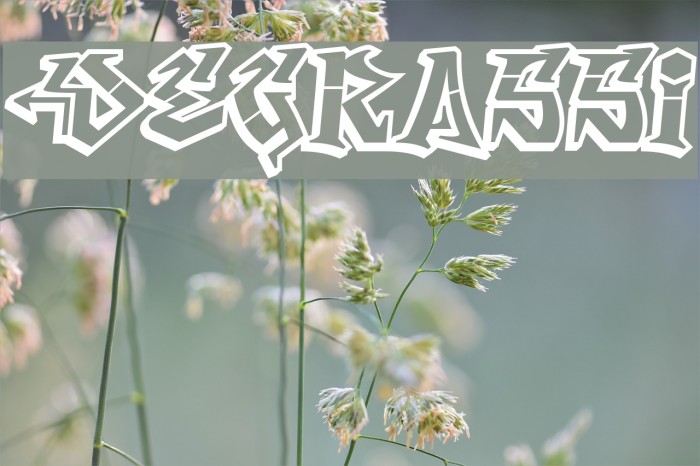 Degrassi Font examples