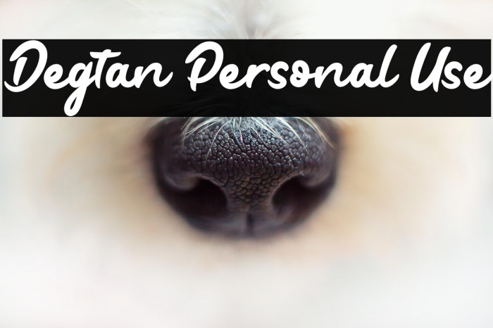 Degtan Personal Use Example 3