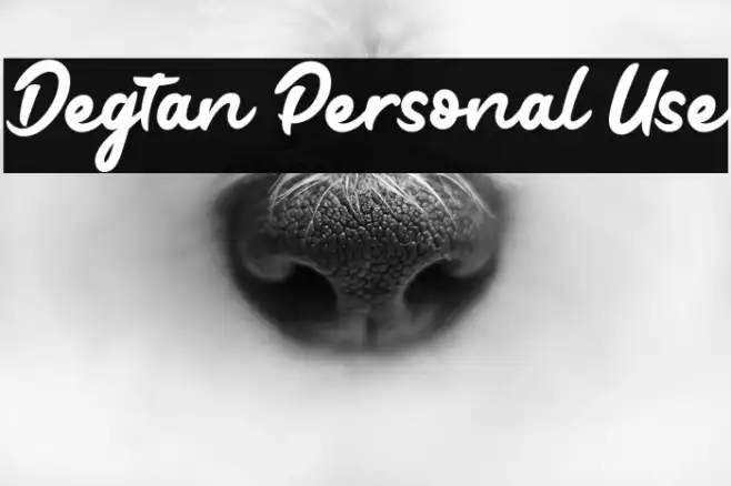 Degtan Personal Use Example 3