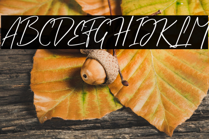 Dehally Brother PERSONAL USE OL Example 2