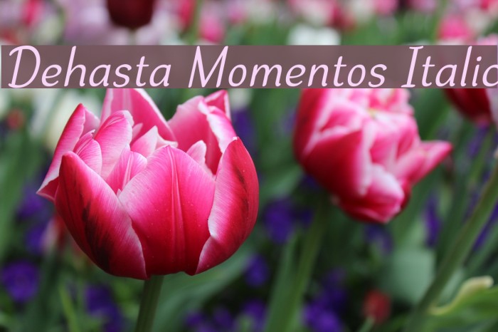 Dehasta Momentos Italic Font examples