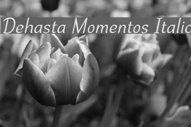 Dehasta Momentos Italic フォント examples