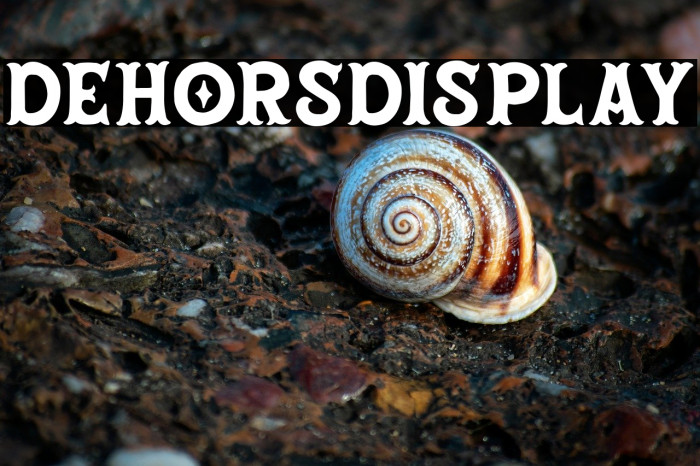 DehorsDisplay Example 1