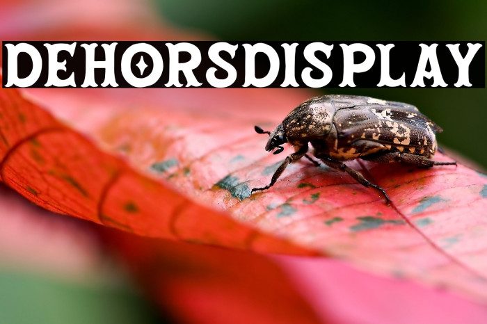 DehorsDisplay Example 2