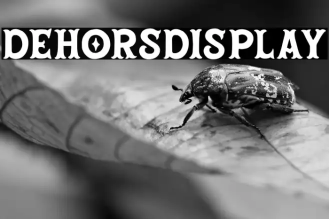DehorsDisplay Example 2