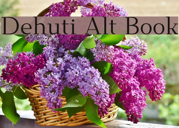 Dehuti Alt Book Font examples