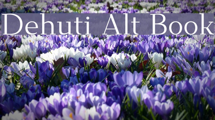 Dehuti Alt Book Font examples